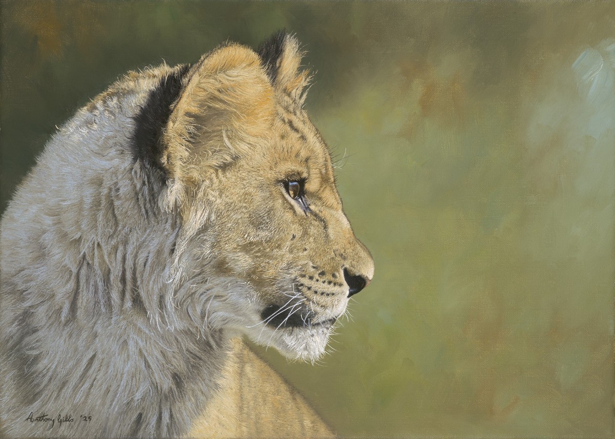 What's He Looking At?