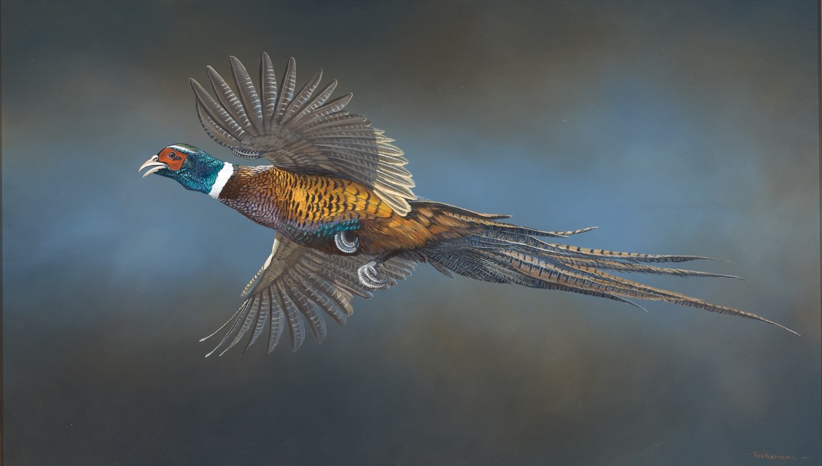 Pheasant Flush