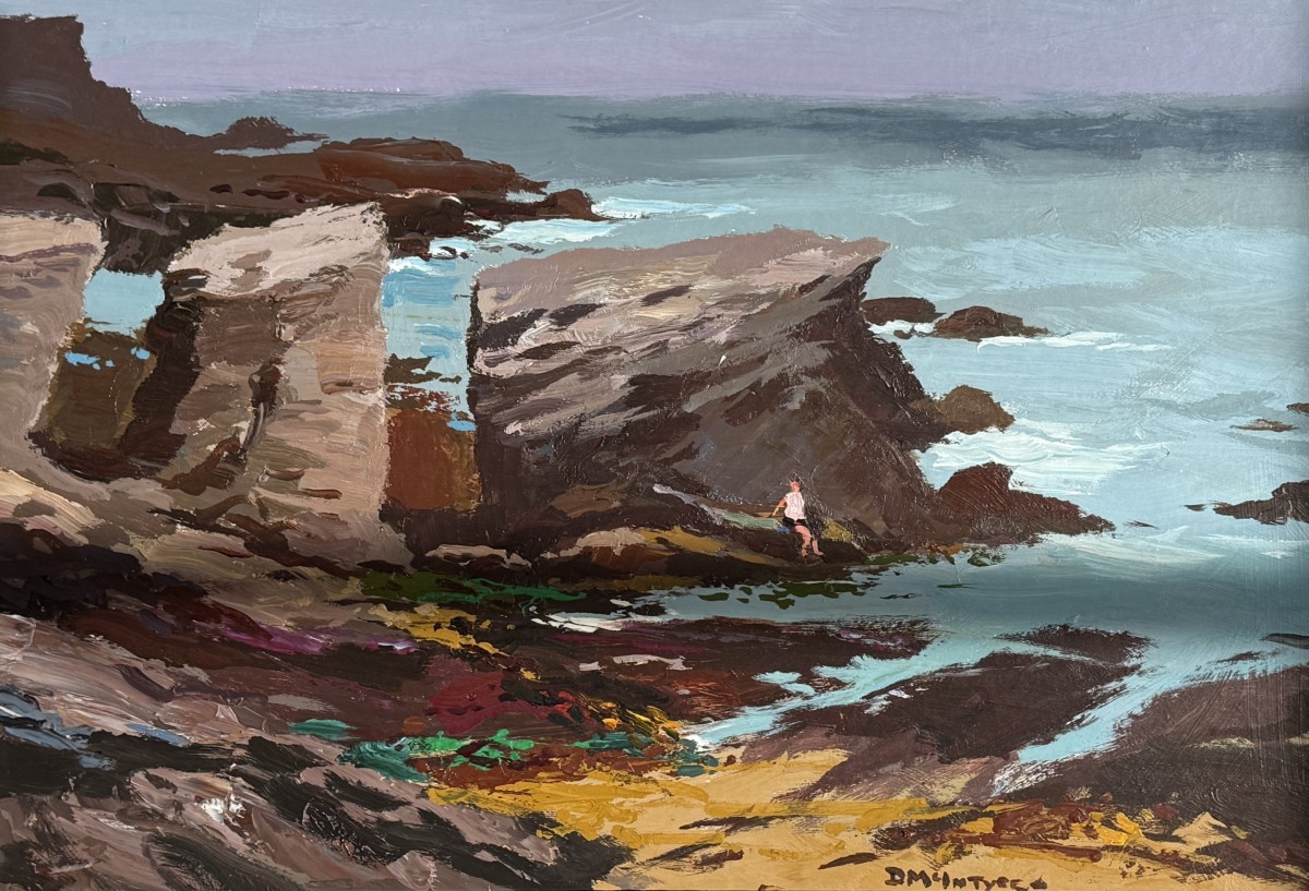 Rocky Shore Anglesey No 1