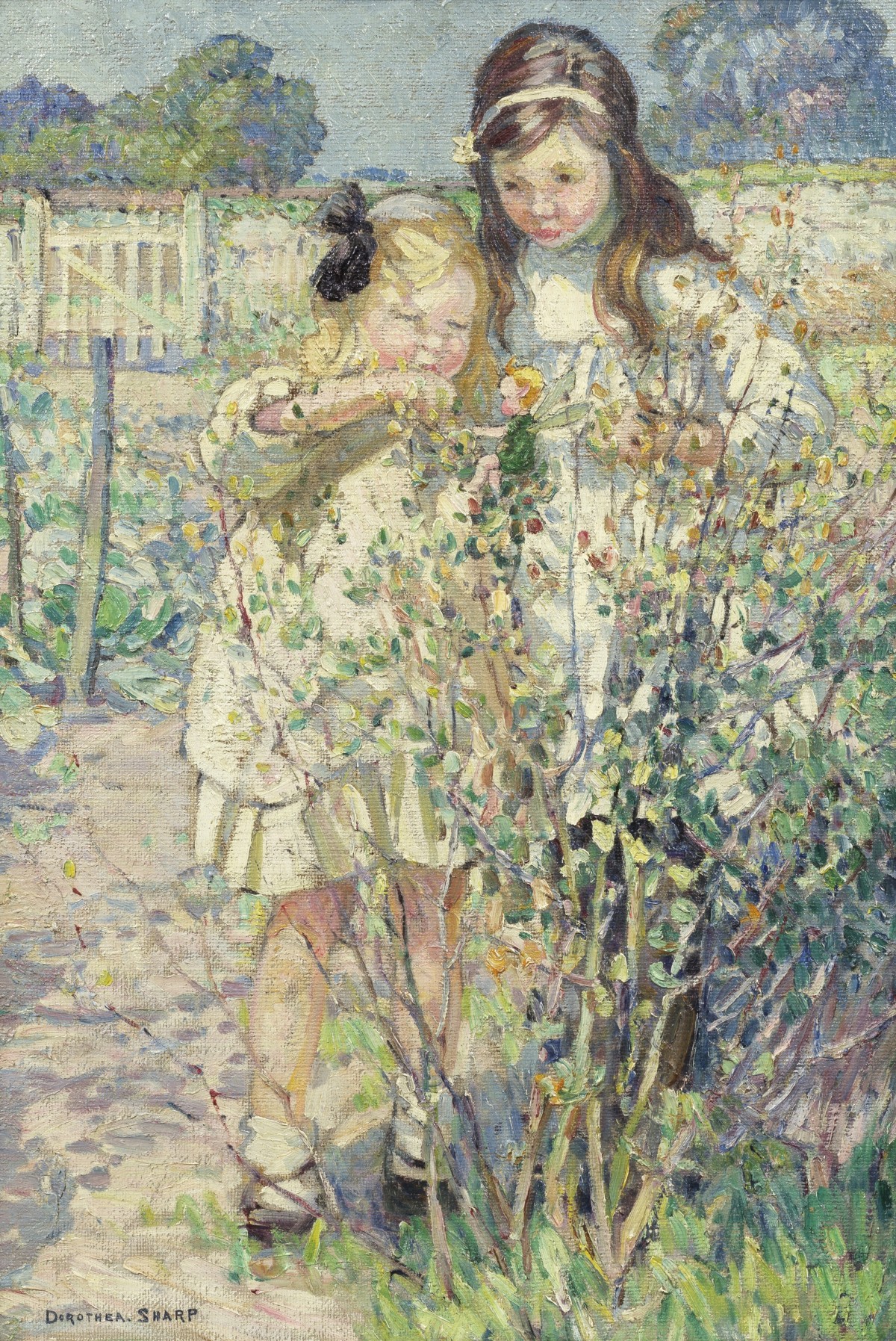 Fairies at the Bottom of the Garden