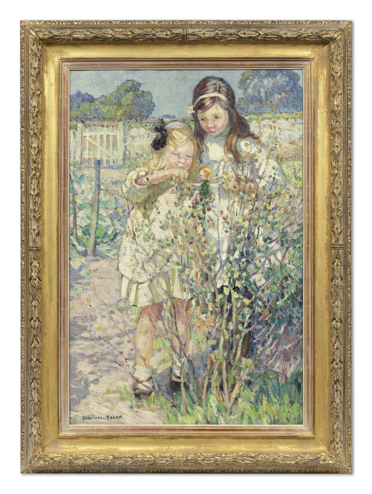 Fairies at the Bottom of the Garden