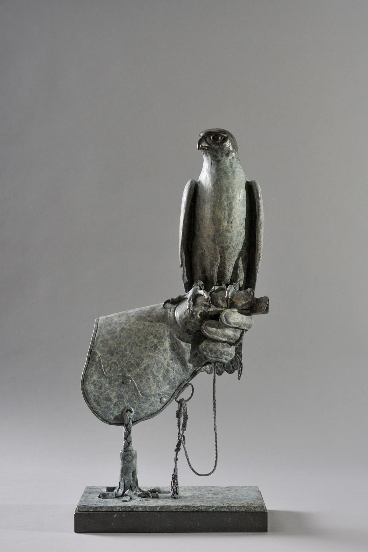 Peregrine Falcon
