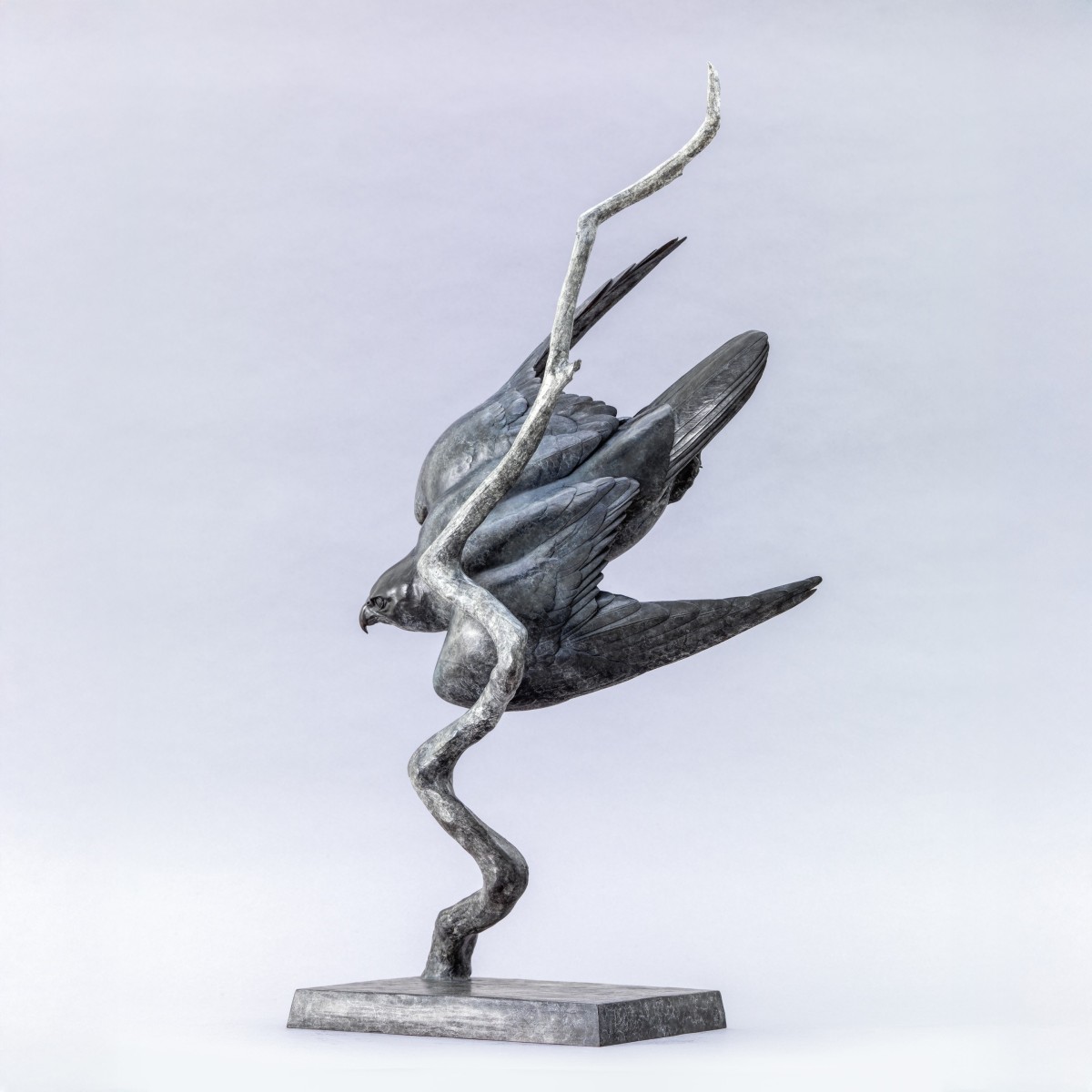 Peregrine II “Lightning Bolt”